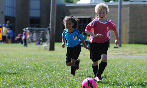 SPRING SEASON UNDERWAY!  ENJOY THE SEASON!